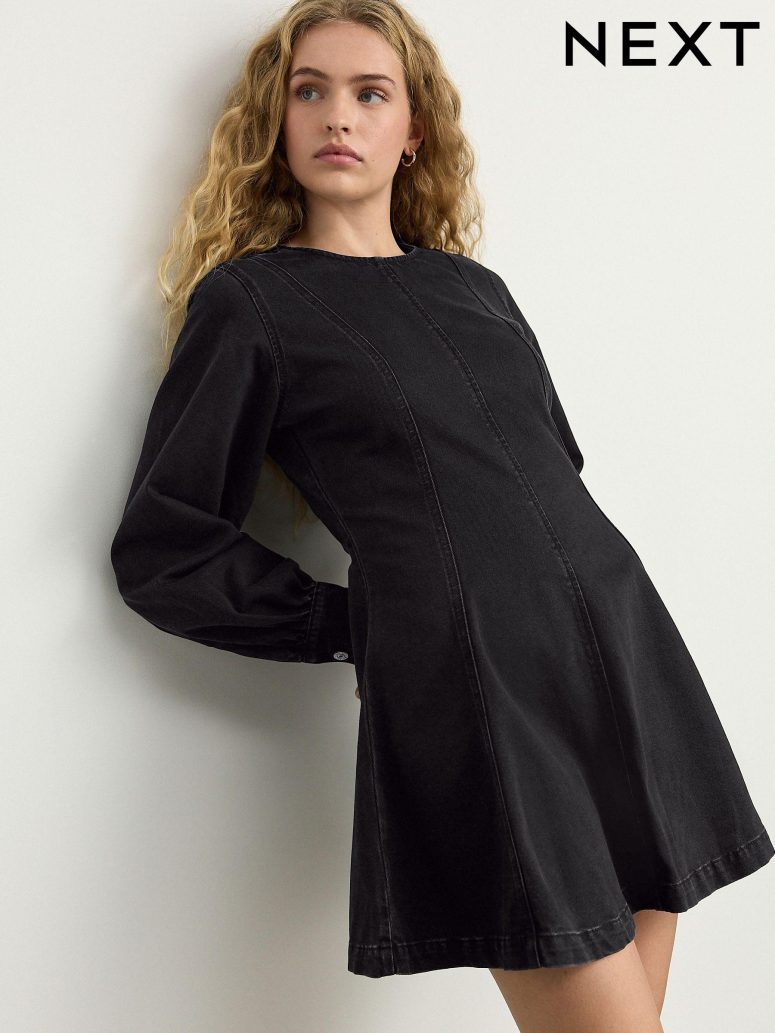 Black Long Sleeve Seam Detail Denim Dress
