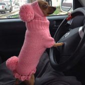 Dog sweater,dog clothes,chihuahua clothes, dog clothes with hat,sweater set with pom poms,clothing for dog. Dog Costume With Pom Pom.