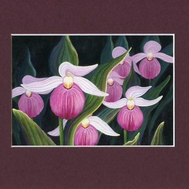 Pink Lady Slippers Print - Botanical Art Print - Nature Painting - Orchid Art Work - Floral Art Print - Floral Home Decor - Archival Print