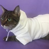 Pet Hoodie COLOR OPTIONS Dog Solid Hoodie Cat Solid Hoodie