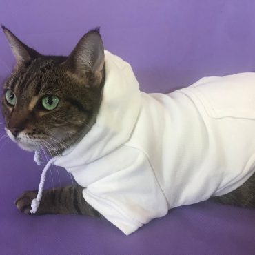 Pet Hoodie COLOR OPTIONS Dog Solid Hoodie Cat Solid Hoodie
