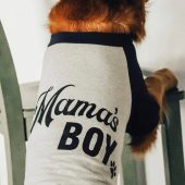 Custom Mama's Boy Daddy's Girl Shirt | 10 Sizes Dog Raglan or Tank | Typography Black & White Cute Custom