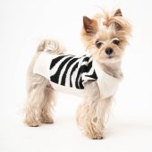 Dog sweater made of organic new wool | Hand-knitted | Dog sweater | Dog coat | Animal jackets and sweaters | Dog clothing | Model Zoo-Zebra