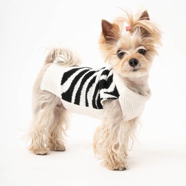 Dog sweater made of organic new wool | Hand-knitted | Dog sweater | Dog coat | Animal jackets and sweaters | Dog clothing | Model Zoo-Zebra