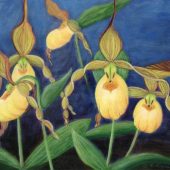 Yellow Slipper Orchid Art Print - Maine Slipper Orchid Art - Native Orchid Print - Yellow Lady Slipper Art - Yellow Floral Art Print
