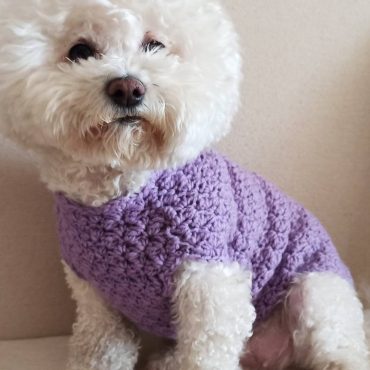 Handmade puppy clothes, Crochet dog sweater, XXS dog clothing, Designer dog clothes, Girl dog top, Doggy clothes, Small pet clothing