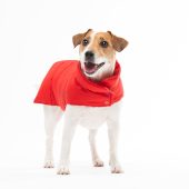 Warm Vest For Dog - Warm Clothing For Dog - Warm Dog Clothes - Dog Clothing - Pet Clothing - Warm Jacket For Dog - Gift