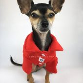 Yachtsman Sweatshirt, Dog Sweatshirt, Dog Clothing, Chihuahua Clothes, Pet Clothing