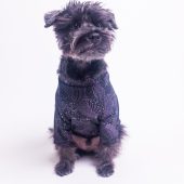 Silver Striped Black Dog Shirt  | Dog clothing | Floral Dog Fashion| Pet Apparel | Cat Shirt