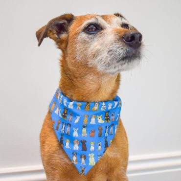 Blue Dog Bandana, Dog Scarf, Pet Clothing, Cartoon Print, Dog Fabric, Light Weight Bandana, Dog Fashion, Pet Accessories
