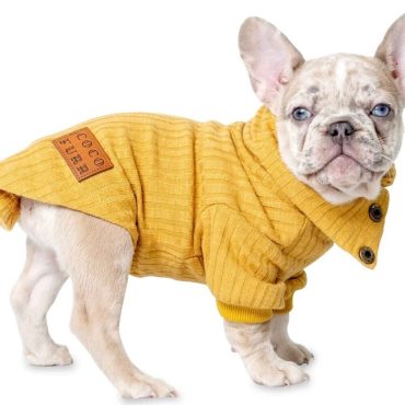Dog Pullover Turtleneck Sweaters - Pet Thermal Pullover, Dog and Cat Clothes XS-XL - Comfy Puppy Outfits