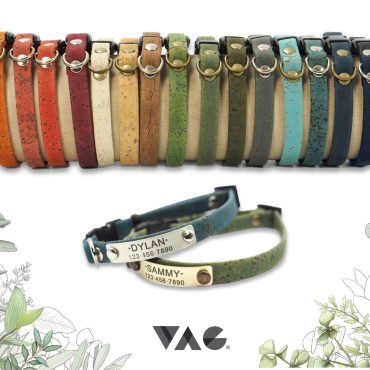 Cat Collar Personalized Breakaway for Kitten or Small Dog Puppy Collar with name for Kitty custom with ID Tag Necklace for Cat Safety