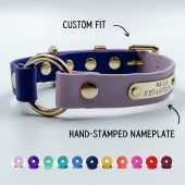 Custom BioThane® Dog Collar with Personalized Nameplate | Bespoke O-Ring Collar | Waterproof Dog Collar | Brass Buckle Dog Collar with Name