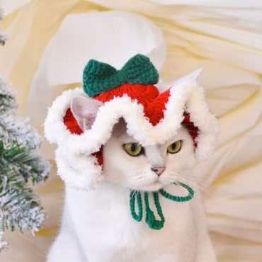 Christmas Cat Hat|Handmade crochet pet Santa hat|Festive pet clothing|Pet holiday costume|Santa hat for pets|Holiday pet outfit|kitten hat