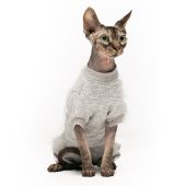 Sphynx Cat Shirt Khaki Sweater, Cat Clothes Tunic, Cat Fashion Apparel, Pet Clothing, Cute Cat Outfit