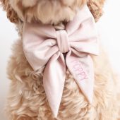 Blush Dog Bow w/ Embroidery, Personalized Velvet Collar Bow, Dog Sailor Bow, Dog Bowtie, Bow for Dog Collar | Embroidery: Up to 7 Letters
