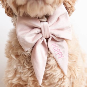Blush Dog Bow w/ Embroidery, Personalized Velvet Collar Bow, Dog Sailor Bow, Dog Bowtie, Bow for Dog Collar | Embroidery: Up to 7 Letters