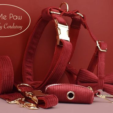 Custom Corduroy Dog Collar, Leash and Harness Set with Matching Bow Tie & Poop Bag - Personalized Red Pet Accessories - New Puppy Gift