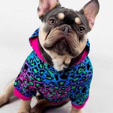 Handmade French Bulldog Hoodie - Cozy Custom Fit Bulldog Sweater - Unique Pet Clothing for Frenchies - Dog Hoodie with Personalized Touch