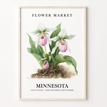 Minnesota State Flower Art Print, Pink and White Lady's Slipper, 1960's Wall Art, Neutral Pastel Botanical Artwork, Home Decor, C31-56