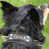 Black Leather Dog Collar- Padded, Personalized, Handmade