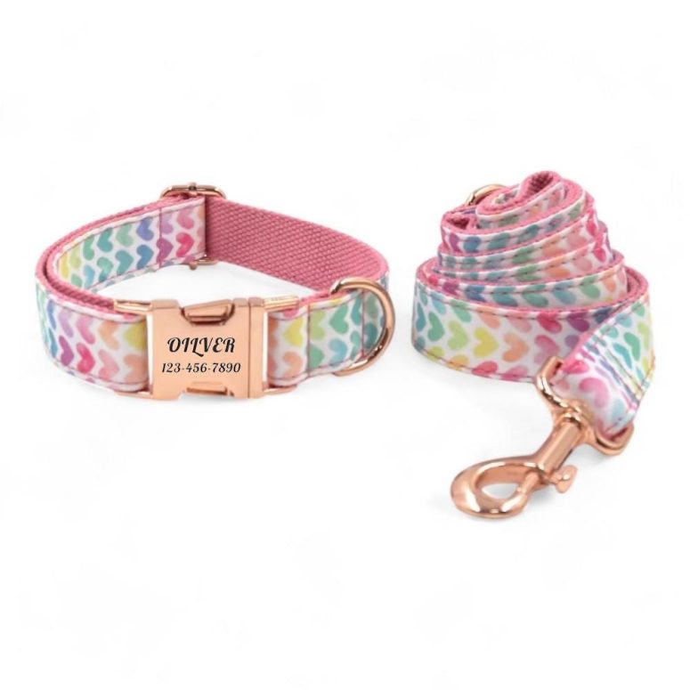 Colorful Hearts Pink Personalized Dog Collar and Leash - Pink Hearts Engraved Dog Collar & Lead - Girly Girl Dog Collar Leash and Bow Tie