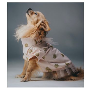 New Street Dog Top / Pink Gold Cotton Puppy Fashion / Dog Dress / Dog Apparel / Cute Puppy Clothing / Pet Girl Clothing / Party Dog Dress