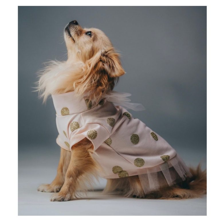 New Street Dog Top / Pink Gold Cotton Puppy Fashion / Dog Dress / Dog Apparel / Cute Puppy Clothing / Pet Girl Clothing / Party Dog Dress