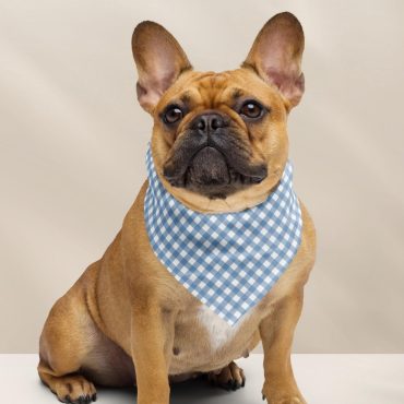 Custom Pet Bandana, Blue Gingham Dog Scarf, Cute Cat Bandana, Trendy Dog Bandana Pet Accessories, Dog Lover Gift,Small Dog Bandana,Pet Scarf