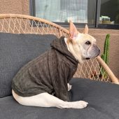 French bulldog, French bulldog clothes, French bulldog hoodie, Cable knit, Dog Hoodie, Dog Apparel, Dog Clothes, Pet clothing, Cable Knit