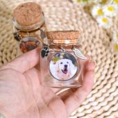 Custom Pet Fur Keepsake, Pet Fur Memorial Jar,Pet Portrait Memorial Gift,Dog Memorial Jar,Rainbow Bridge Gift,Memorial Gift For Dog Cat Pet