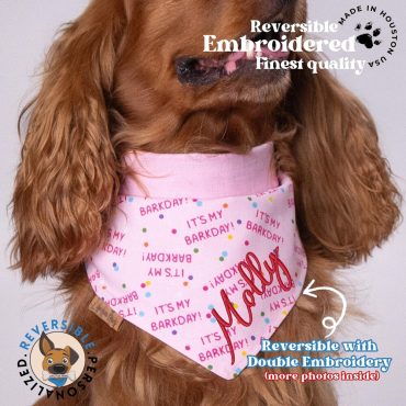 Birthday Dog Bandana - 'It's My Barkday!' with Colorful Dots Pet Scarf - Custom Embroidered Name - Personalized Pet Gift - Dog Party Outfit