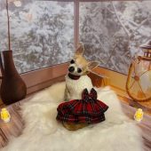 Christmas pet costume, holiday dog costume, dog dresses, pet clothing, New Year's dog clothing, red velvet tutu dress for dogs, gift for pet