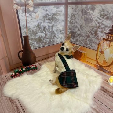 Christmas pet costume, New Year's dog clothing, holiday dog costume, pet clothing, gifts for pets, dog dresses, winter dog clothing