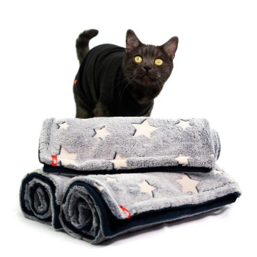 Cat Blanket | I See Stars - Glow in the Dark, Cat Fashion, Pet Clothing, Sphynx Cat Clothing, by Polocat