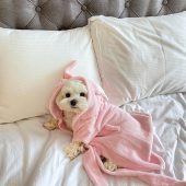 Handmade premium bamboo terry robe|dog robe|pet clothing|dog towel coat| handmade dog clothing|dog bathrobe|dog spa apparel|dog towel robe