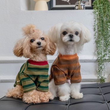 Dog Sweater - Dog Tops -  Dog Clothes - Pet Fashion - Dog Coat - Dog Clothing - Pet Clothes - Dog Coat - Dog Jacket