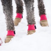All Weather Leather Dog Booties - for snow and winter - Hot Pink