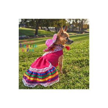 Tapatio Dress for pet, Mexican Style, Handmade, Folkrorico , Cinco de Mayo, Made in Mexico, Escaramuza dress, Pet Costume