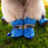 4pcs/set Waterproof Dog Shoes, Anti-Slip Pet Booties Cats & Dogs, Paw shoes for Rain, Snow. Pet Accessories for Puppies and Small Breeds.