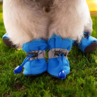 4pcs/set Waterproof Dog Shoes, Anti-Slip Pet Booties Cats & Dogs, Paw shoes for Rain, Snow. Pet Accessories for Puppies and Small Breeds.