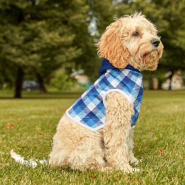 Cozy Blue Plaid Pet Hoodie | Stylish Dog Apparel, Winter Pet Fashion, Comfortable Hoodie for Dogs, Pet Fashion Gift, Trendy Dog Outfit