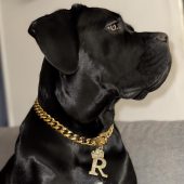 Cuban Link Dog Chain,Custom Dog Chain,Dog Collar Necklace,Gold Dog Cuban Link Chain,Pet Chain Necklace,Dog Gift,Dog Birthday Gifts